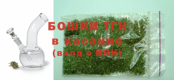 индика Богородск