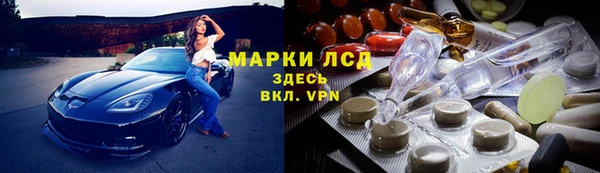 ECSTASY Богданович