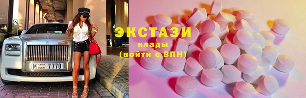 индика Богородск