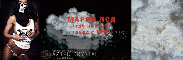 индика Богородск