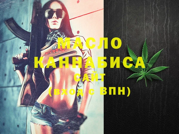индика Богородск
