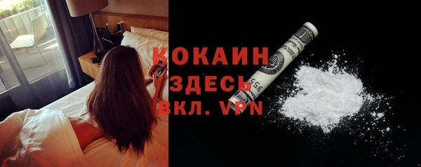 ECSTASY Богданович
