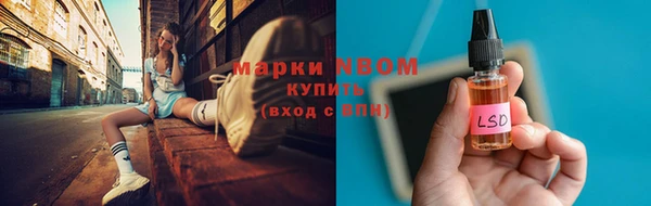 ECSTASY Богданович