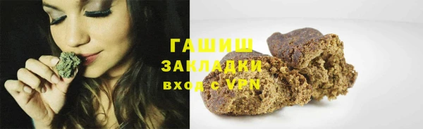 ECSTASY Богданович