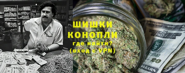 индика Богородск