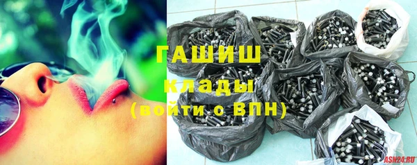 индика Богородск