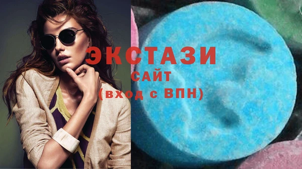 ECSTASY Богданович
