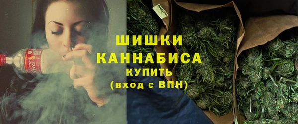 индика Богородск
