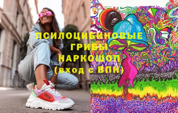 ECSTASY Богданович