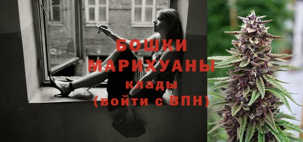индика Богородск