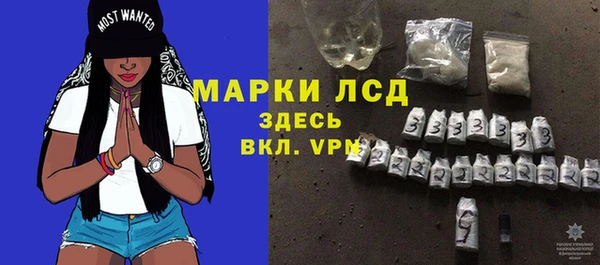 индика Богородск