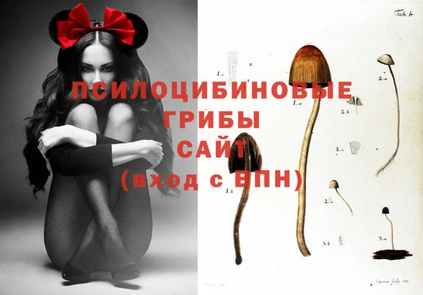 индика Богородск
