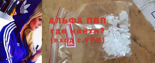 индика Богородск