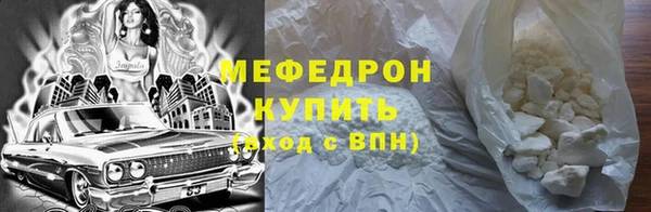 индика Богородск