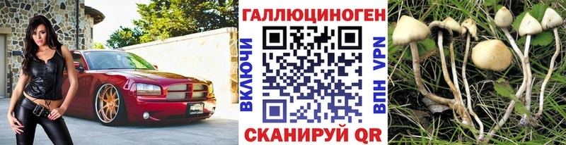 Псилоцибиновые грибы MAGIC MUSHROOMS  Купить где  Моршанск 